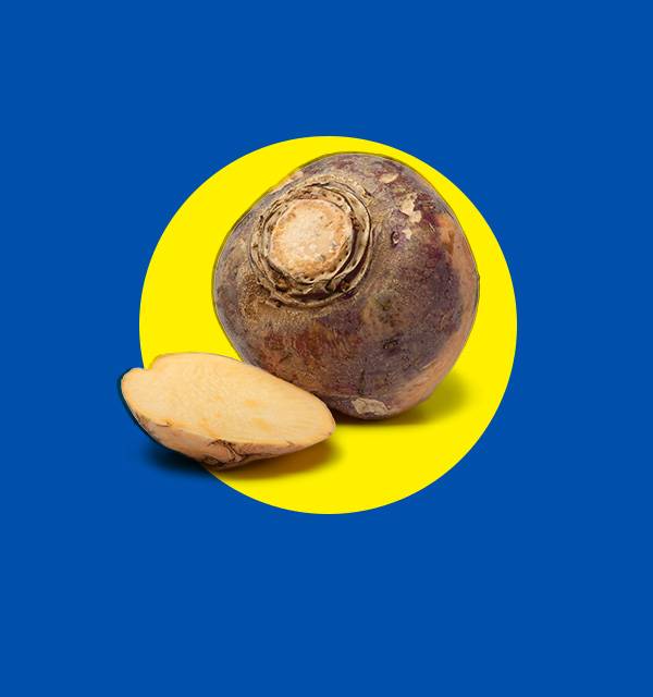 Whole and sliced swede on a yellow circle against a blue background.