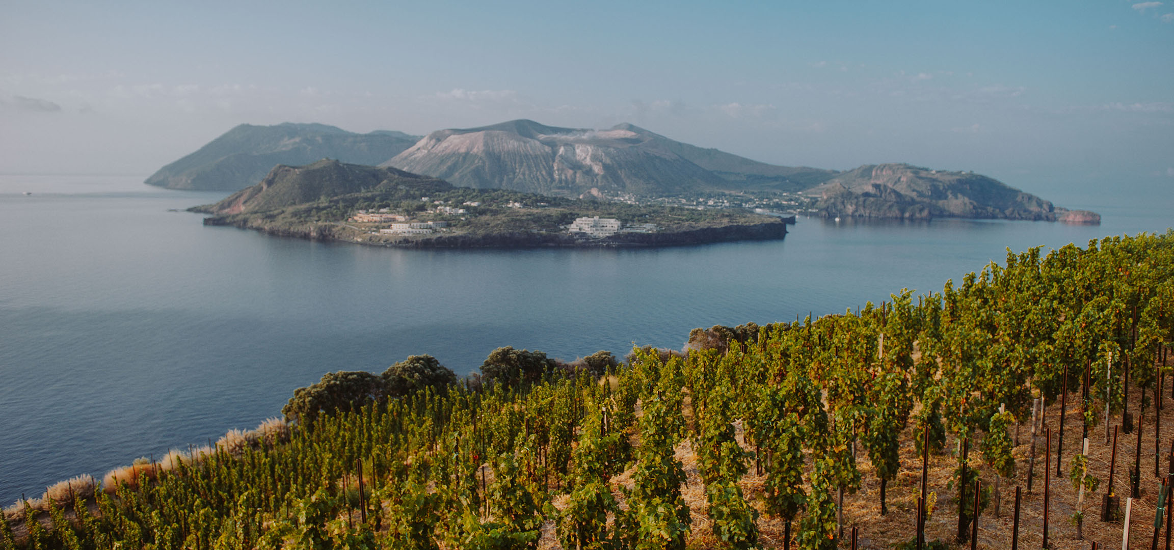 Terraced vineyard overlooking a volcanic island and the sea.