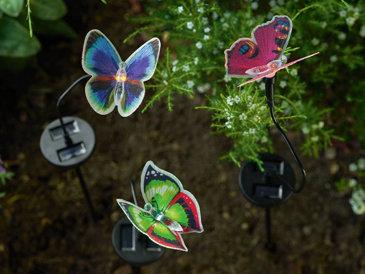 Three colorful solar-powered butterfly garden stakes, illuminating the ground and plants.
