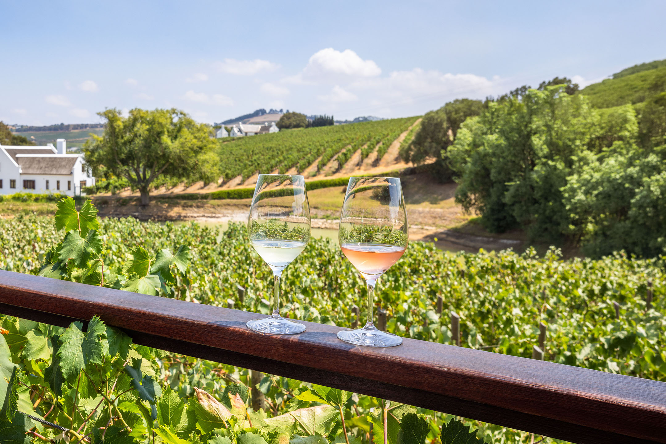 Two glasses of wine, white and rosé, on a wooden railing with a vineyard in the background.