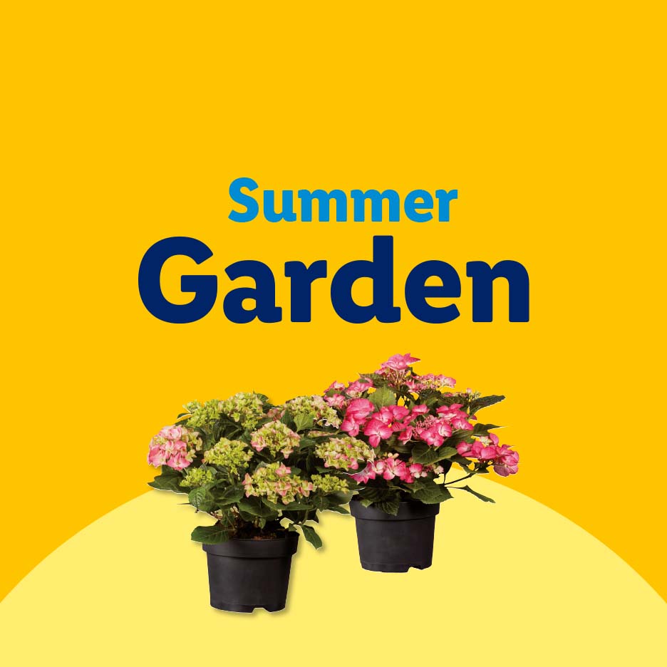 Two potted hydrangeas, one pink and one green, with 'Summer Garden' text on a yellow background.
