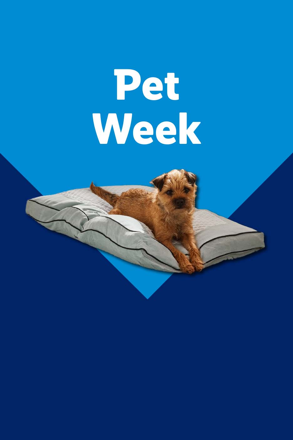A terrier dog lying on a pet bed with the text 'Pet Week' on a blue background.