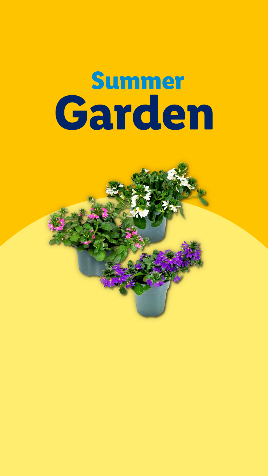 Summer Garden text with three potted flowering plants in pink, white, and purple.