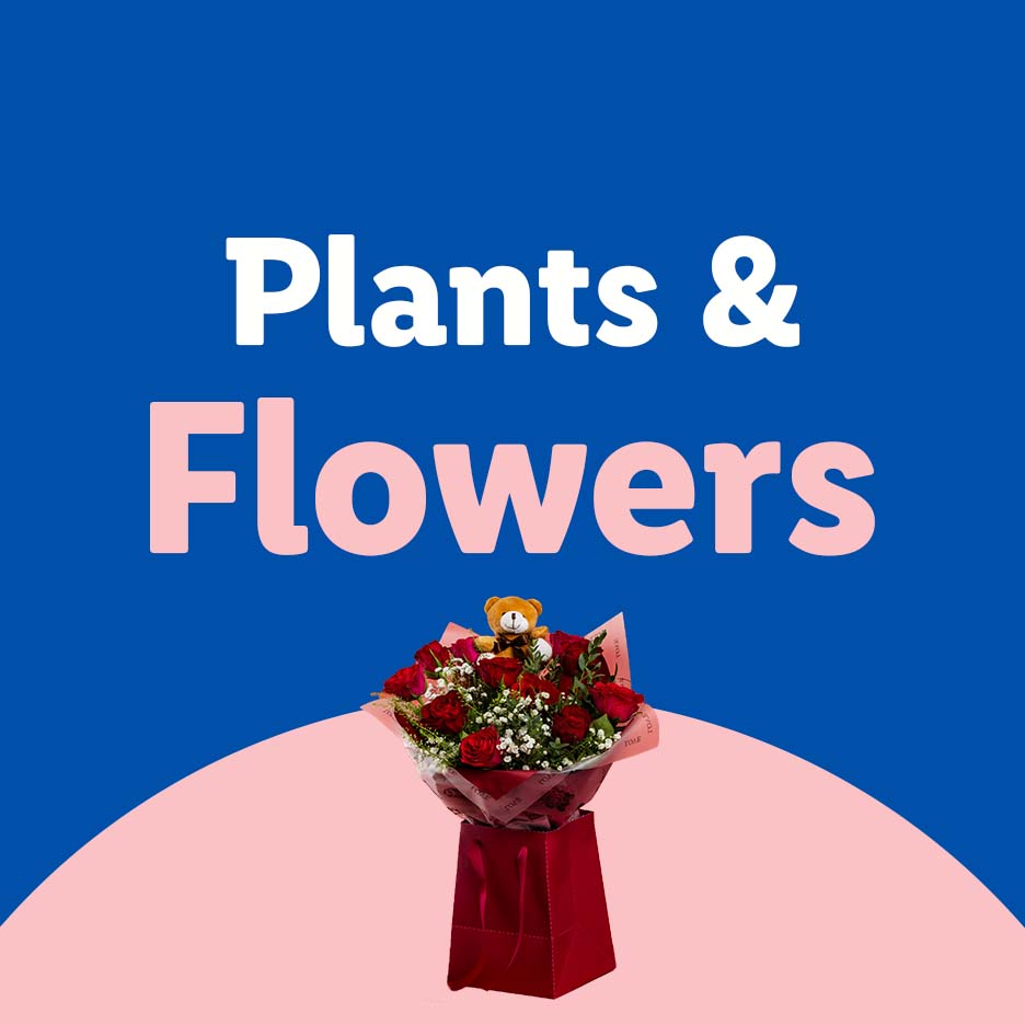 Plants & Flowers: A bouquet of red roses with a teddy bear in a red gift bag.