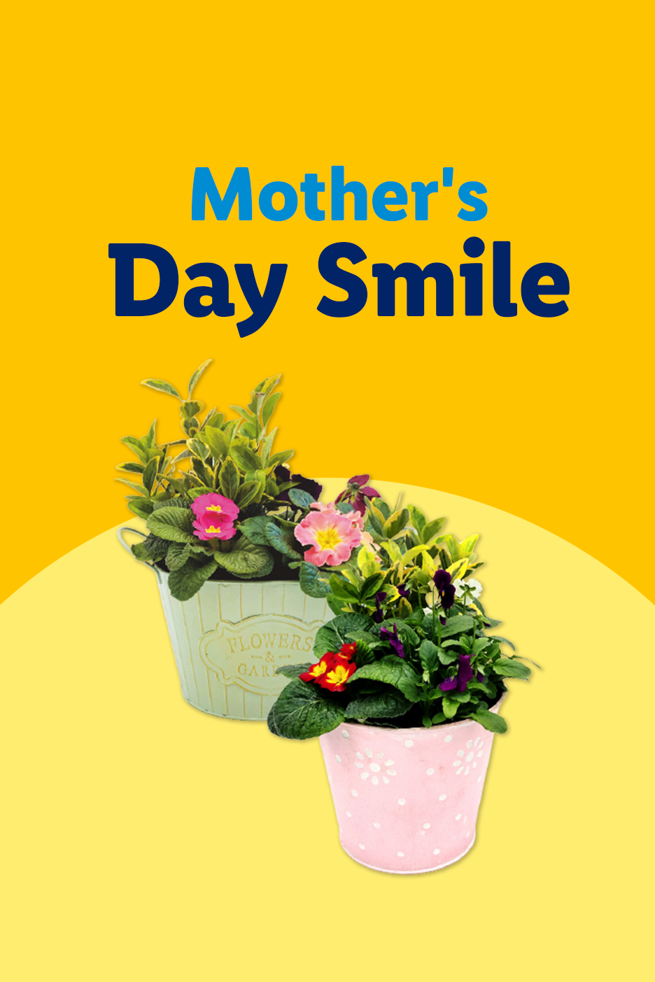 Two potted flowering plants, one in a light green pot and one in a pink pot, with 'Mother's Day Smile' text.