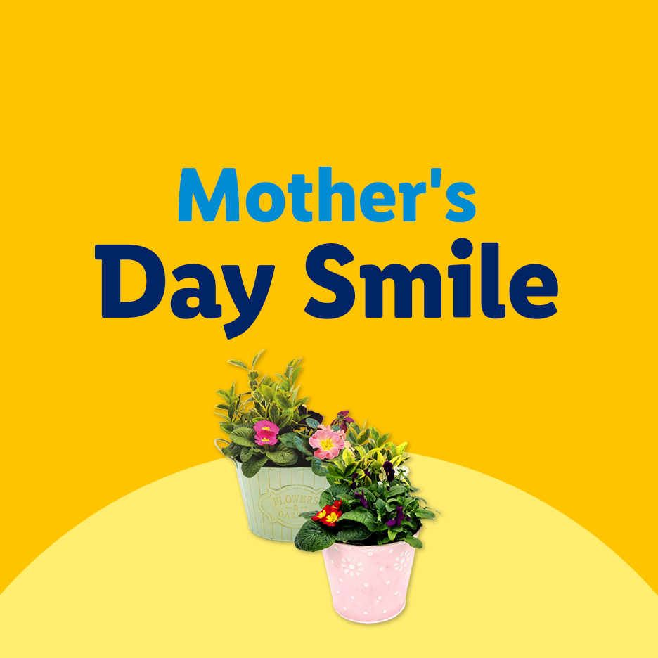 Mother's Day Smile: Two potted plants with colorful flowers on a yellow background.