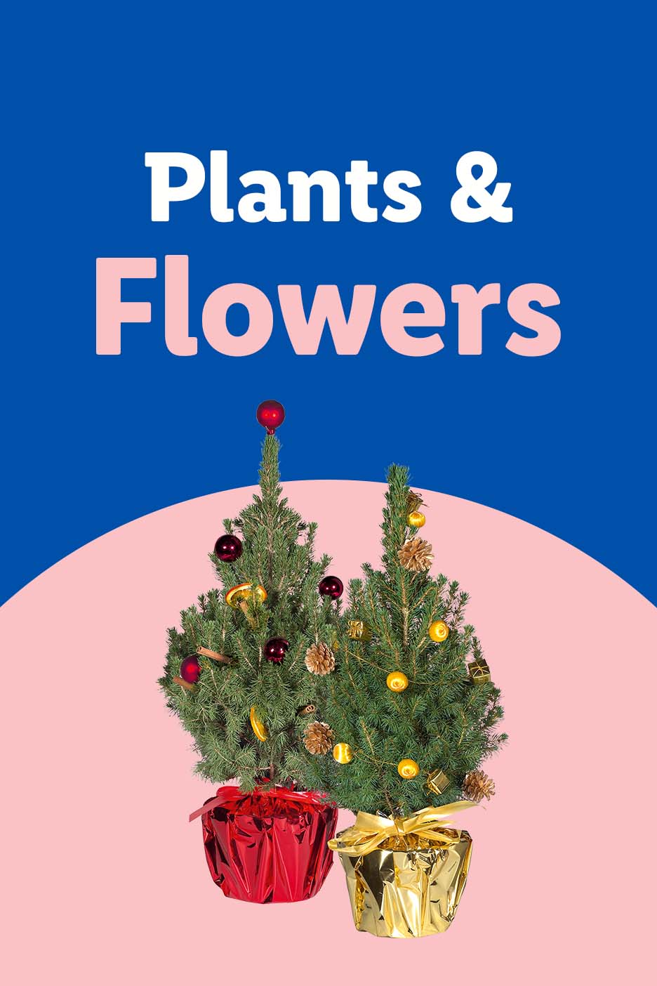 Plants & Flowers banner with two small decorated Christmas trees in pots.