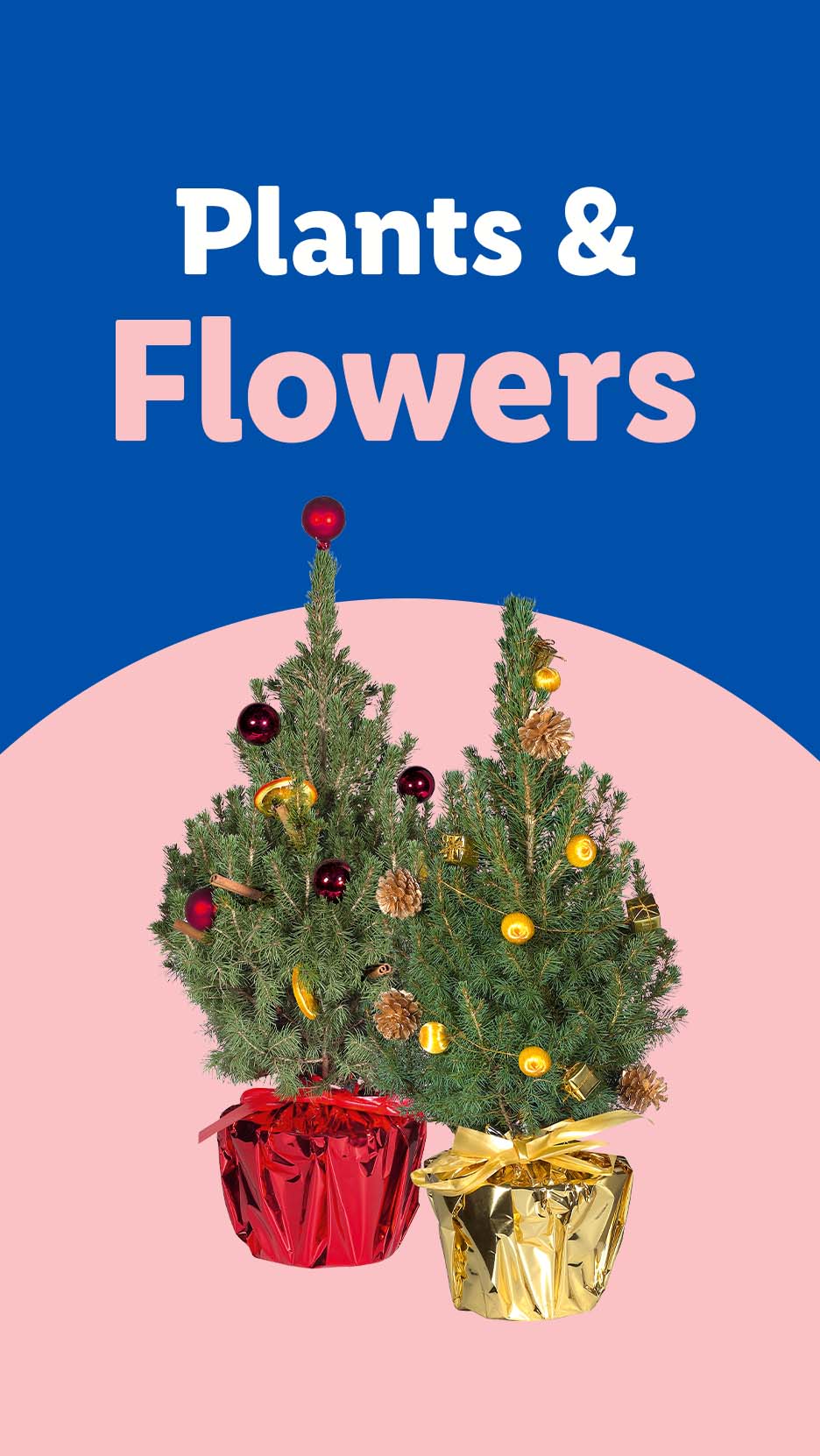 Two decorated mini Christmas trees in red and gold pots, with text 'Plants & Flowers'.