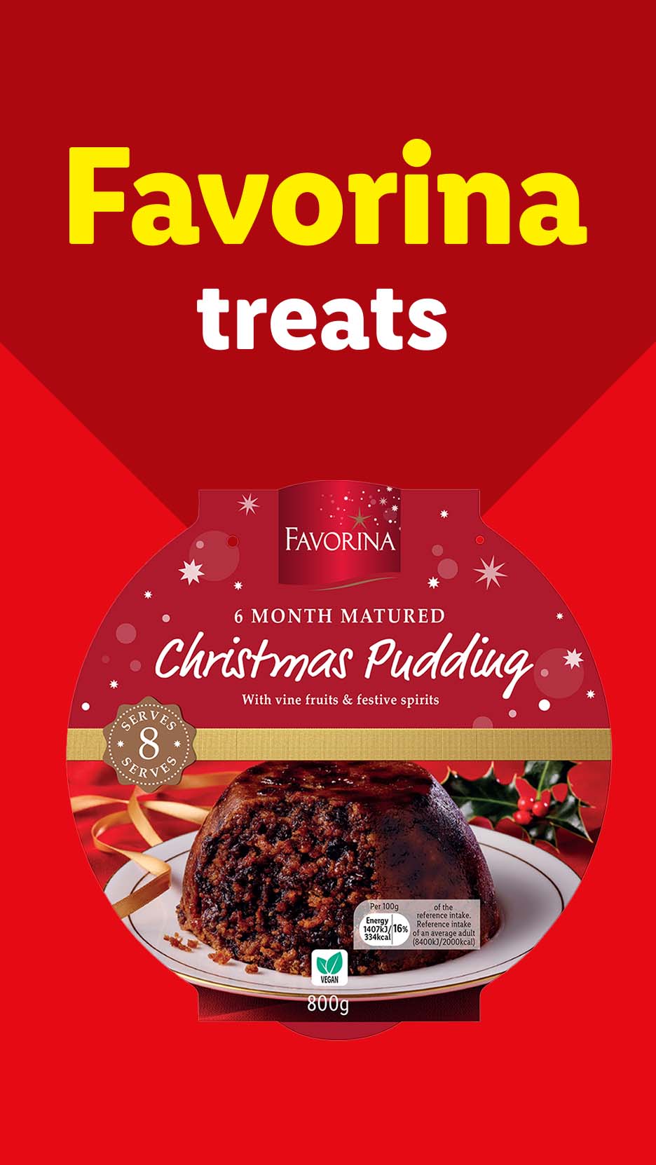 Favorina treats with a Christmas Pudding product shot on a red background.