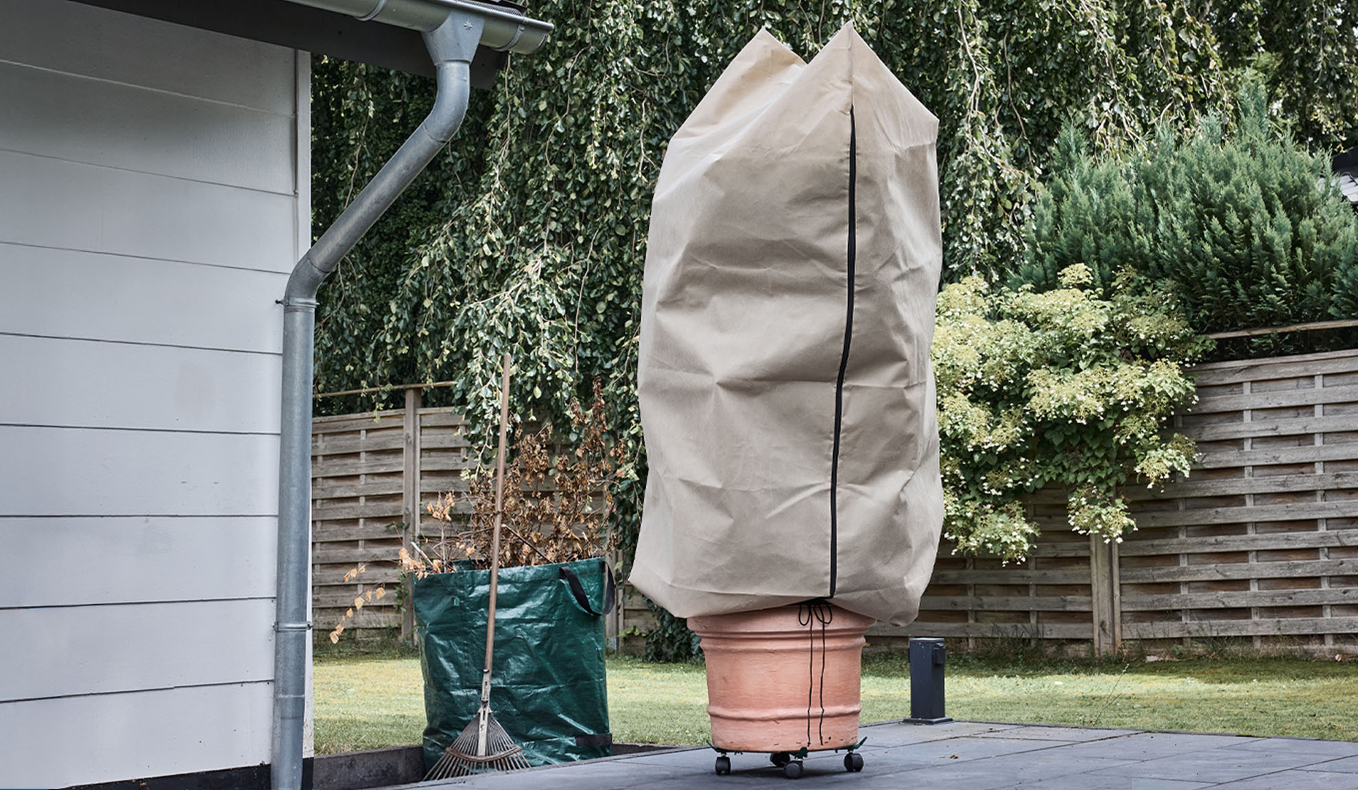 Plant cover on a potted plant on a patio with a gutter and rake.
