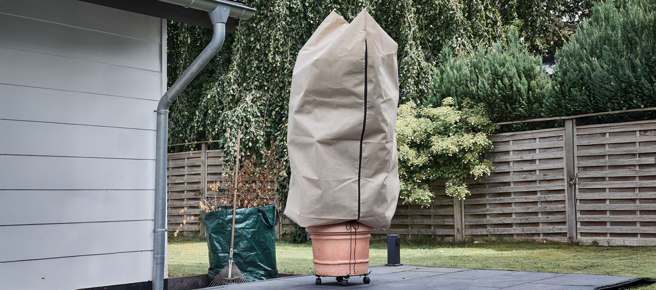 Potted plant with winter protection cover on a patio next to a house.
